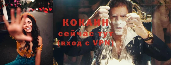 гашик Горно-Алтайск